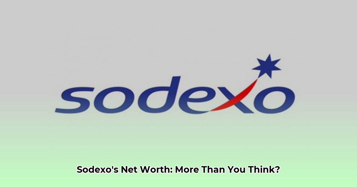 sodexo net worth